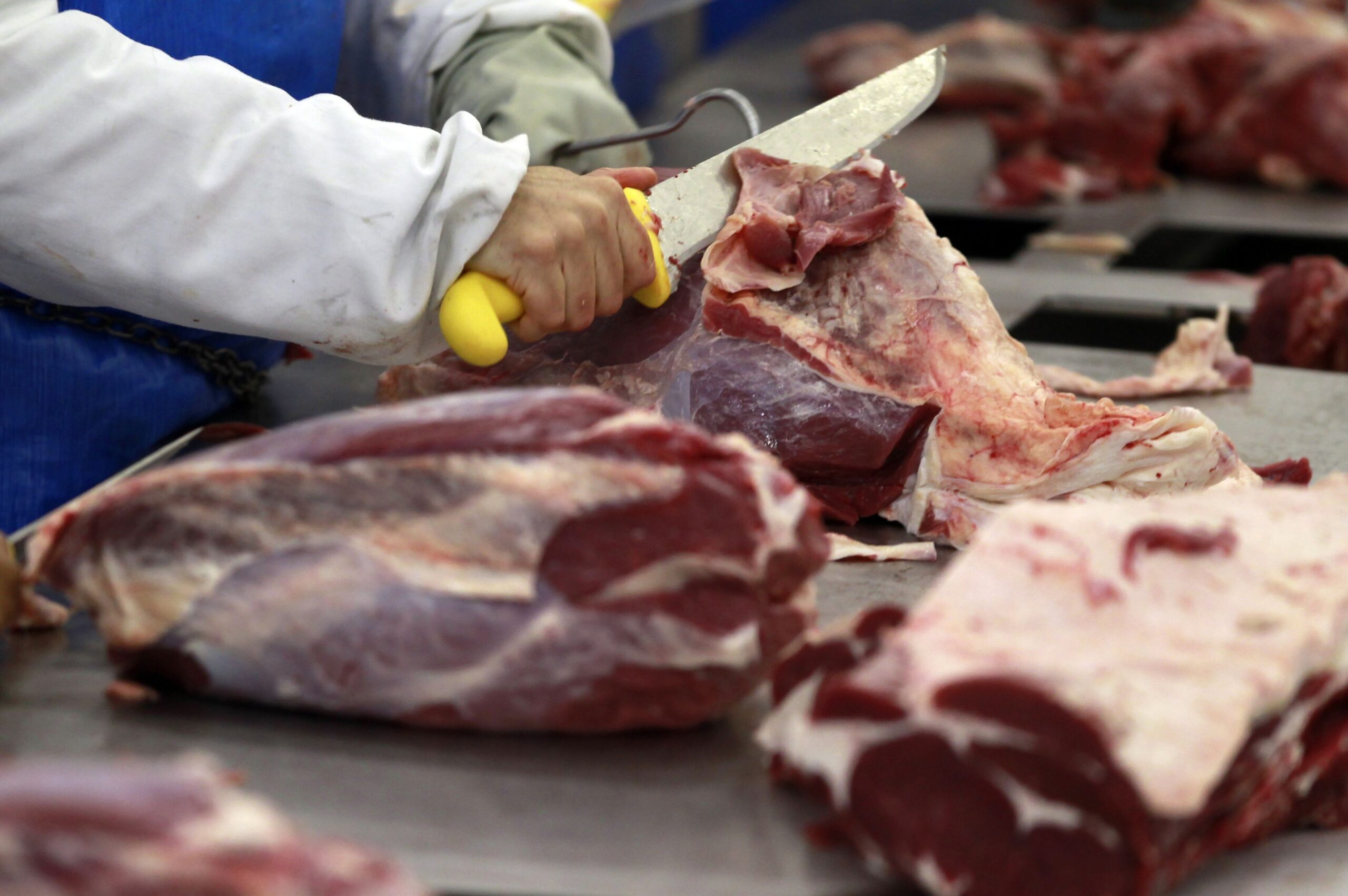 Indonésia habilita 17 frigoríficos e carne bovina do Brasil avança na Ásia