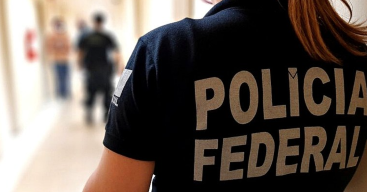 ARSENAL DE GUERRA SP 2