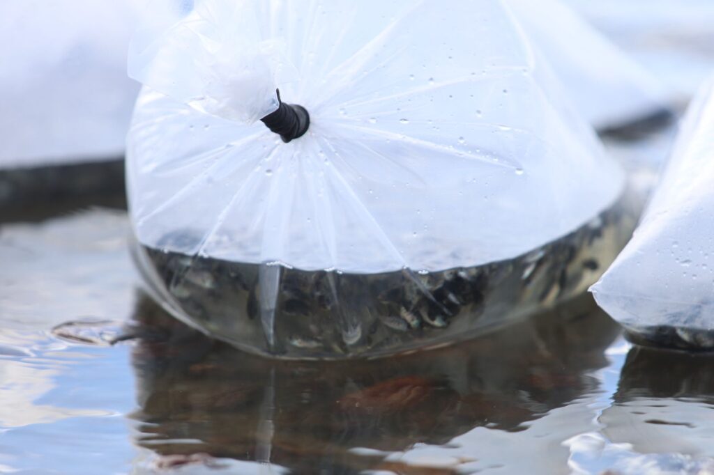 WhatsApp Image 2025 12 16 at 16.33.04