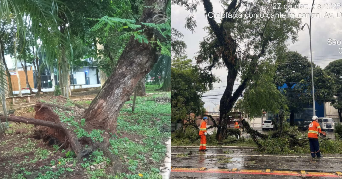 Temporal provoca transtornos e deixa ferido em São Paulo