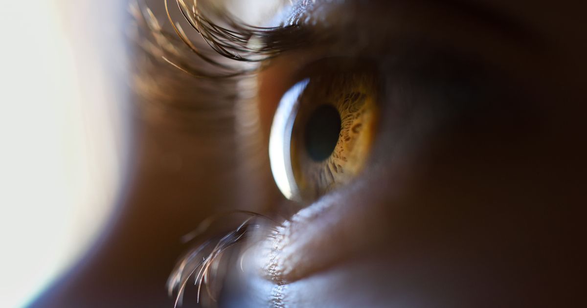 Chip em estudo restaura a visão de pessoas com degeneração por idade