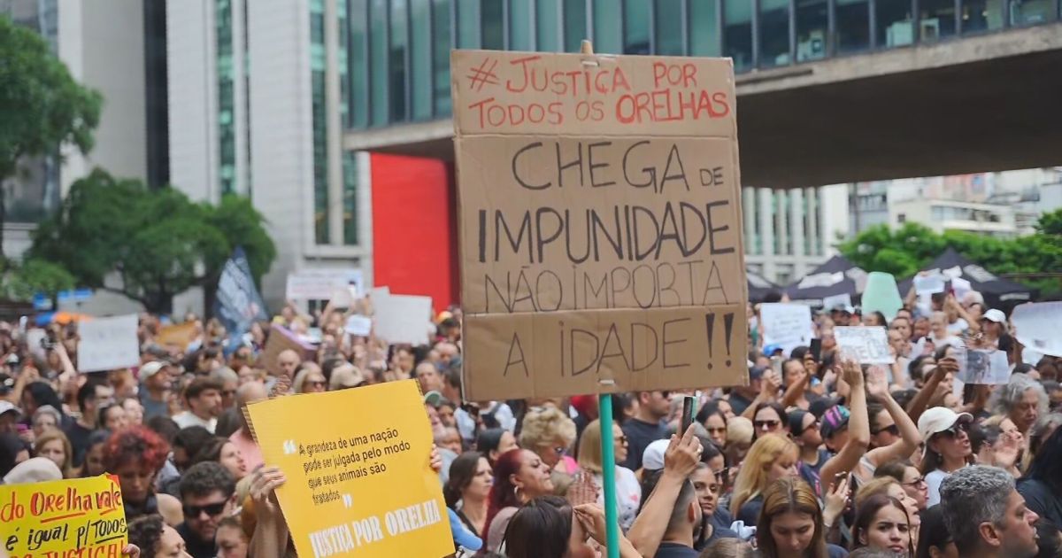 BR CNN 010226 GER SP IMG MANIFESTACAO ORELHA frame 8001