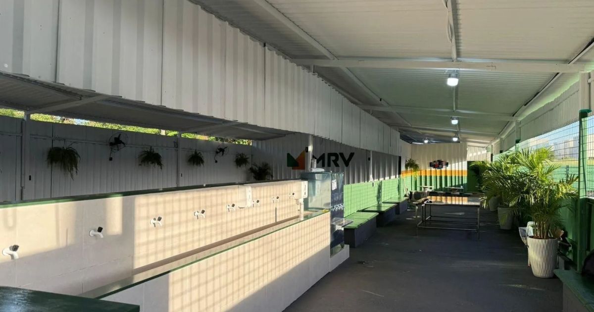 WhatsApp Image 2026 03 10 at 15.07.44 1