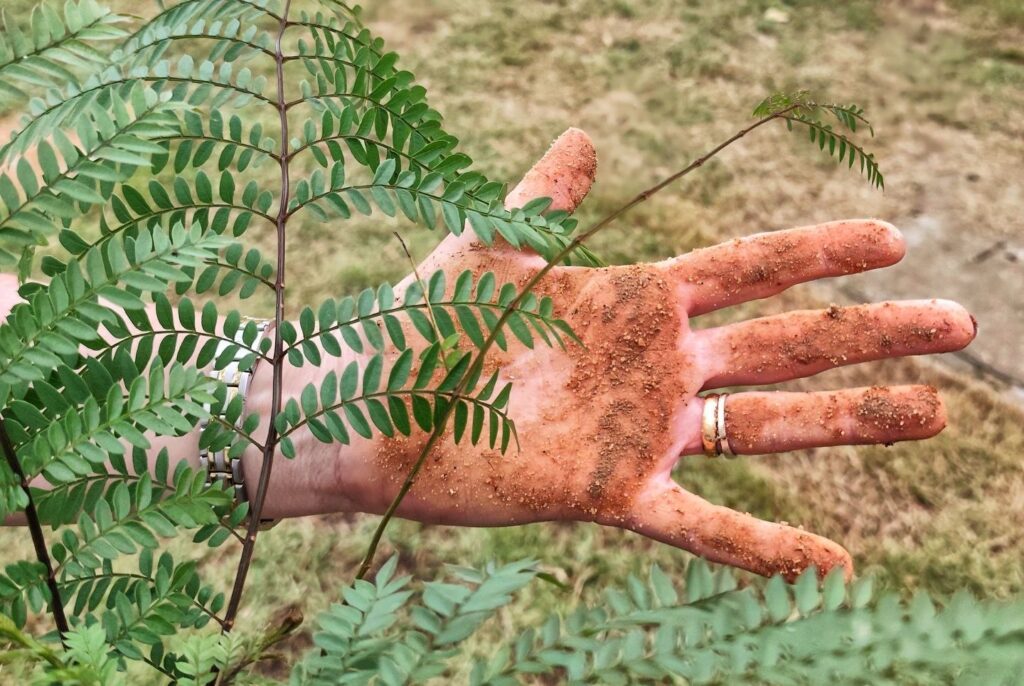 WhatsApp Image 2026 03 19 at 08.05.07