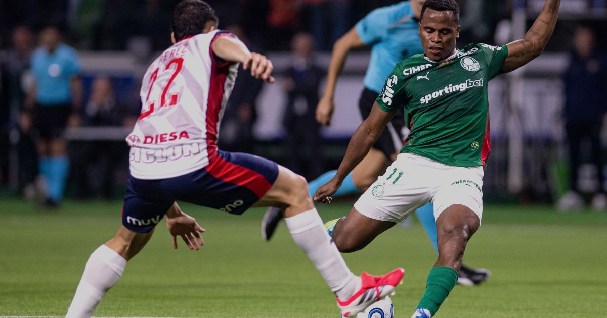 Palmeiras Cerro