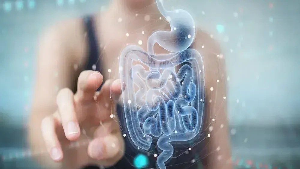 cancer no intestino e1779494726299.webp