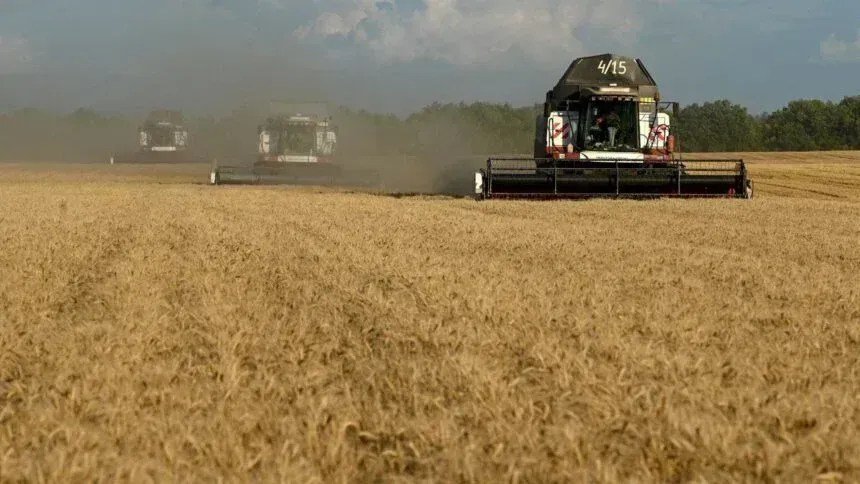 Sovecon reduz previsão de safra de trigo da Rússia para 2026