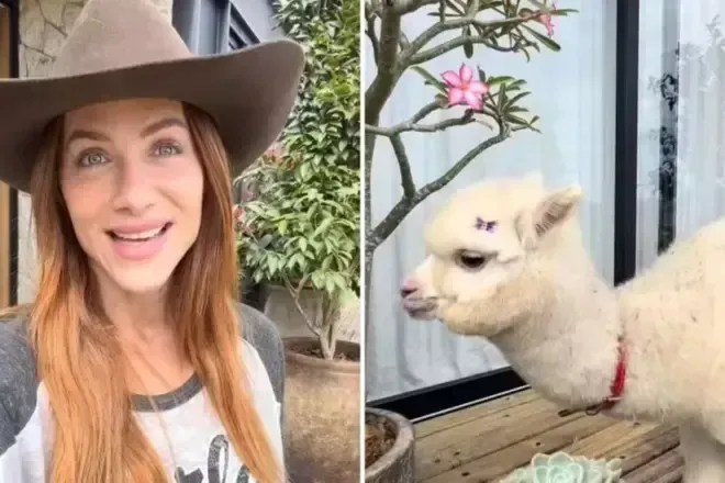 Giovanna Ewbank dá animal inusitado de presente para o filho caçula; veja