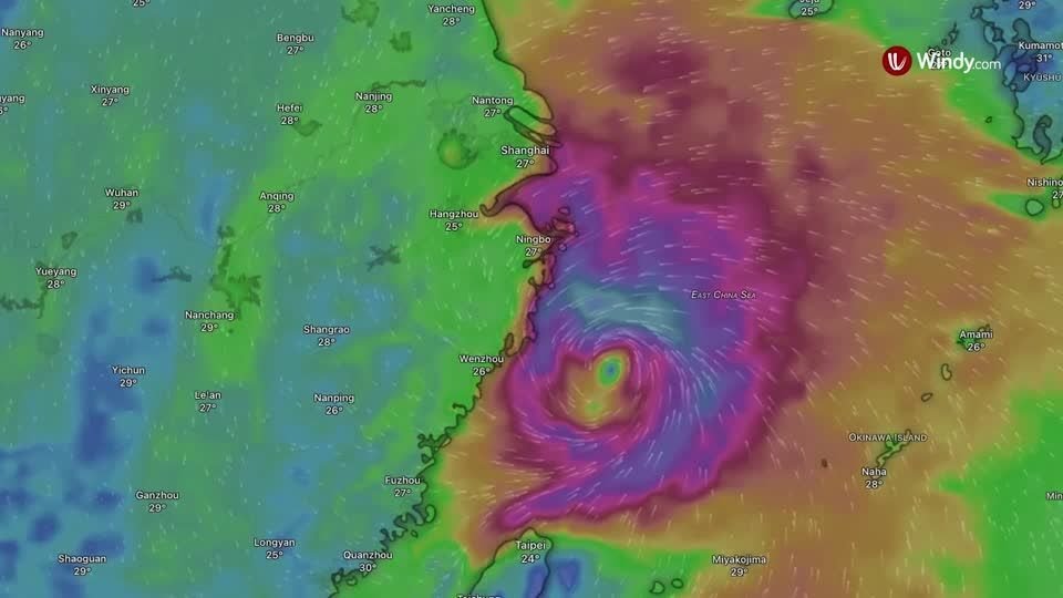 2026 08 09T051623Z 1 LOP415609082026RP1 RTRMADP BASEIMAGE 960X540 ASIA WEATHER TYPHOON DOLPHIN ANIMA