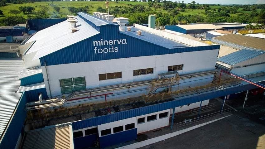 Minerva foods