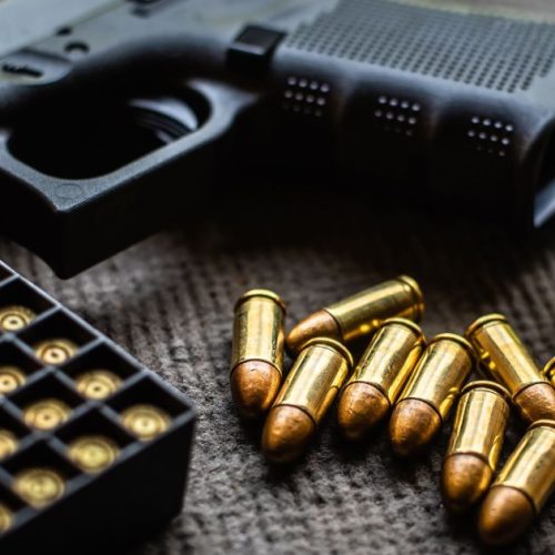 Comissão da Câmara aprova projeto que facilita compra de primeira arma