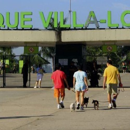 COP30: Governo de SP promove evento que debate desenvolvimento sustentável