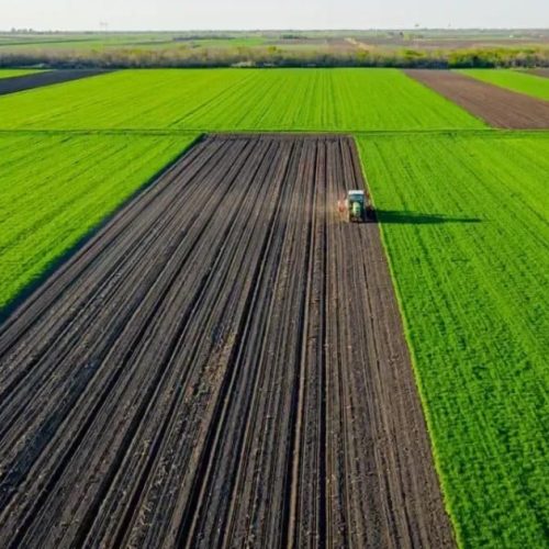 Bioinsumos movimentam até R$ 6 bilhões e se consolidam no Brasil
