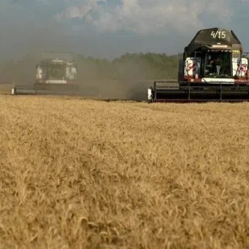 Sovecon reduz previsão de safra de trigo da Rússia para 2026