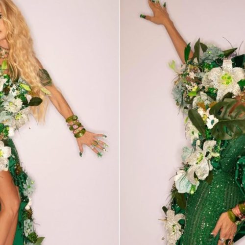 Famosas capricham na fantasia para o Baile da Arara