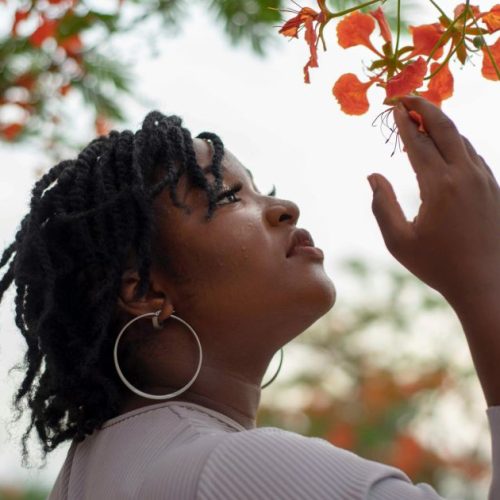 26 frases para celebrar o Dia Internacional da Mulher em 2026