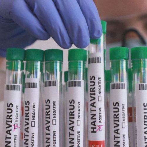 Hantavírus no Brasil: dados apontam tendência de redução de casos