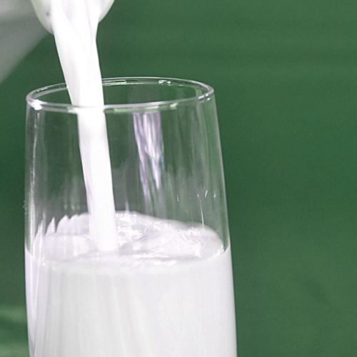 Lácteos devem registrar crescimento moderado em 2026