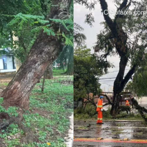 Temporal provoca transtornos e deixa ferido em São Paulo