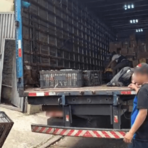 Polícia prende cinco suspeitos em operação contra falsificação de bebidas