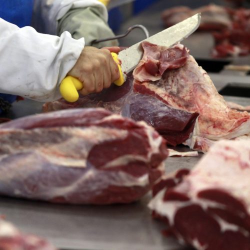 Indonésia habilita 17 frigoríficos e carne bovina do Brasil avança na Ásia