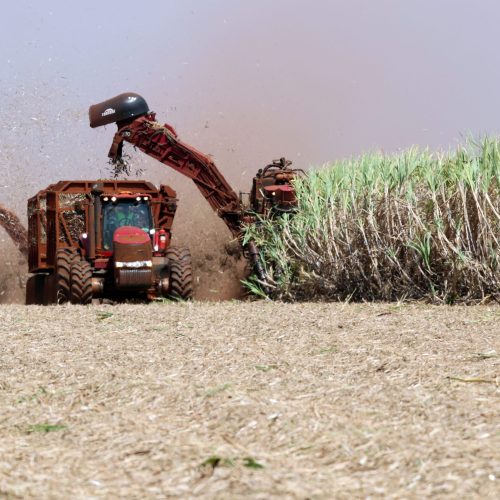 Diversificação dá resiliência ao agro paulista, diz secretário de SP