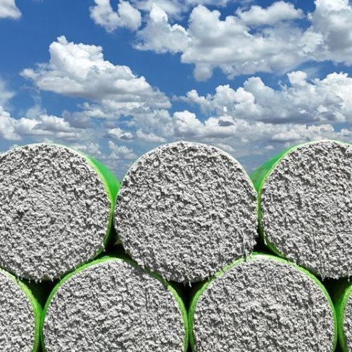 Seca histórica nos EUA sustenta alta do algodão na bolsa de Nova York