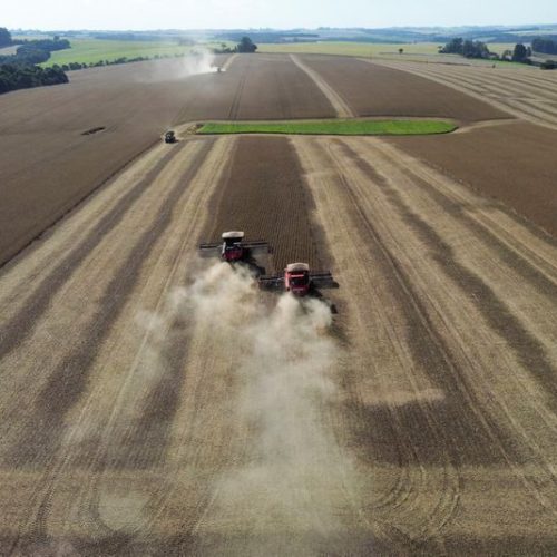 Soja sobe em Chicago após USDA reforçar cenário de demanda aquecida