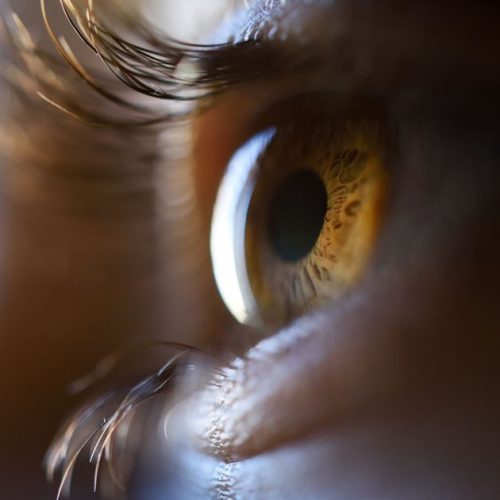 Chip em estudo restaura a visão de pessoas com degeneração por idade